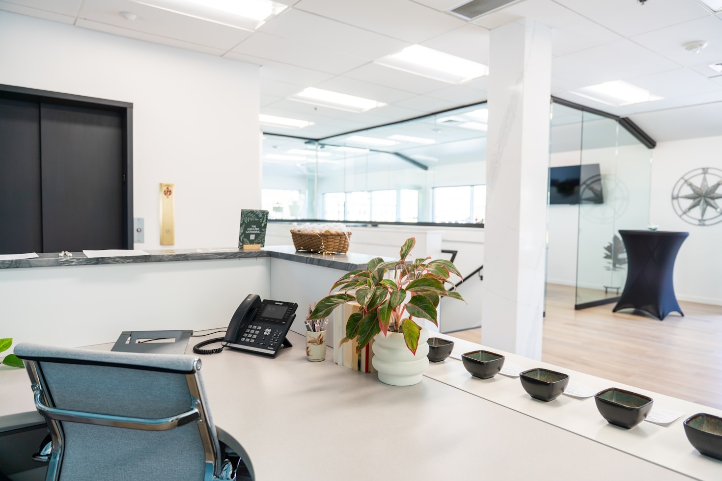 The Role of Coaching in Modern Business Success